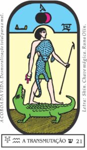 arcano-21-a-transmutacao