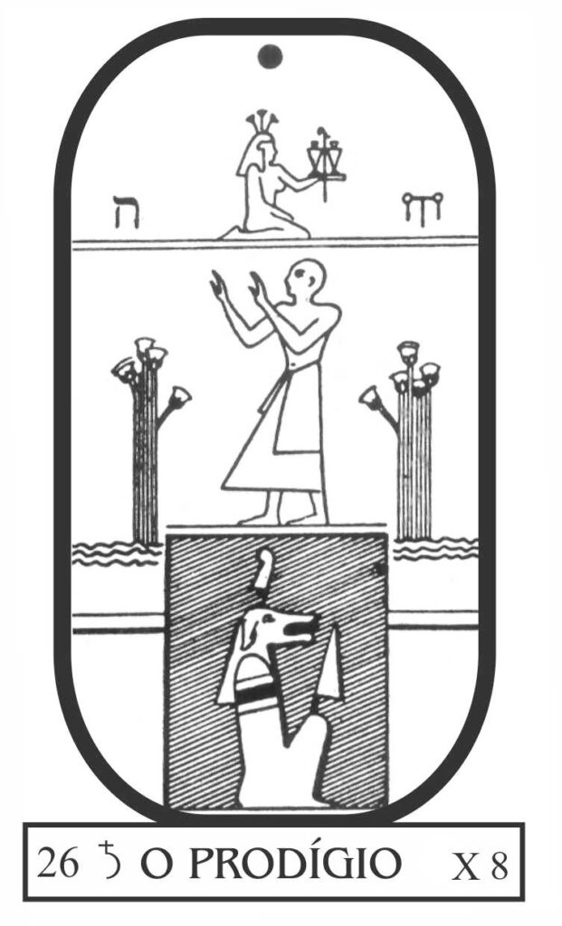 arcano-26-o-prodigio
