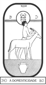 arcano-29-a-domesticidade