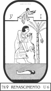 arcano-78-renascimento